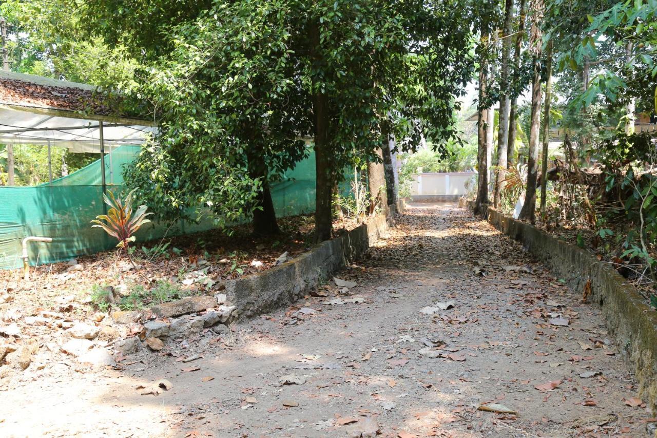 The Mana-heritage - Chengazhimattam Mana Homestay *